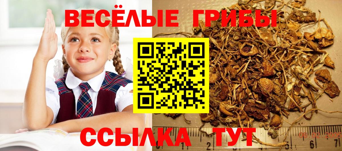 продажа наркотиков  Галлюциногенные грибы GOLDEN TEACHER  Вход с VPN  Костомукша 